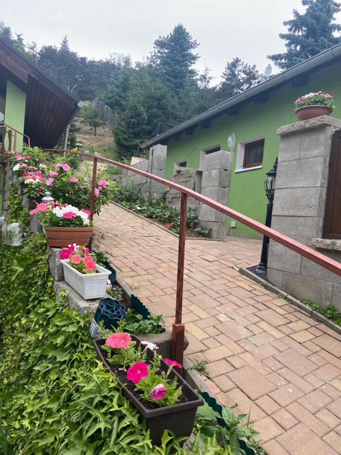 Penzion U Pavla Most Dış mekan fotoğraf